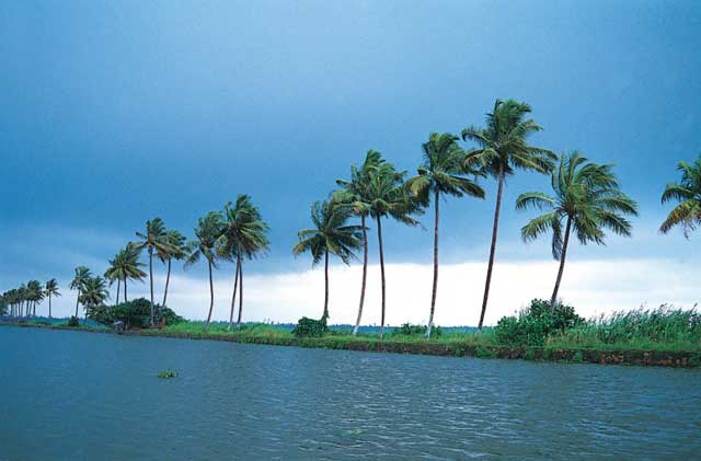 crociera kerala backwaters gallerai (7)